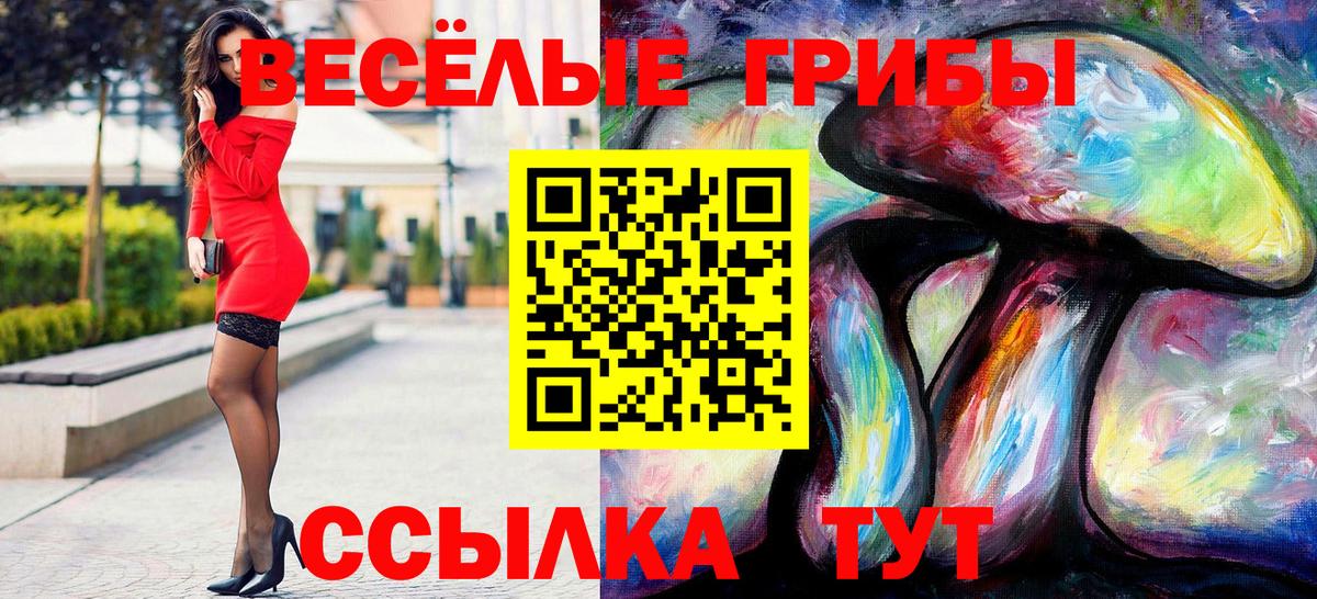 Галлюциногенные грибы Psilocybine cubensis  Вход с VPN  где найти   Нерюнгри 