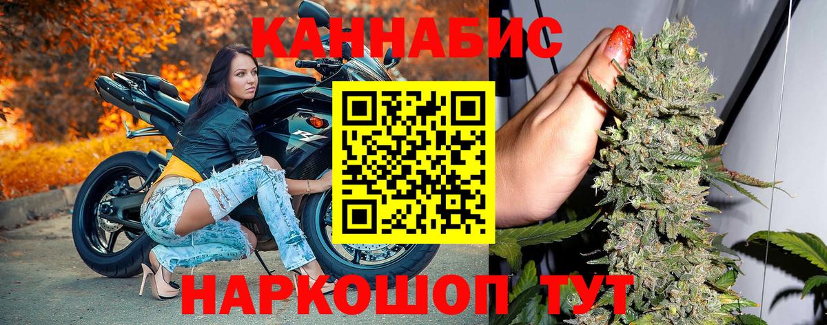Конопля гибрид Нерюнгри